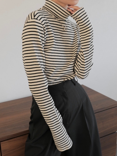 border turtle neck rib top